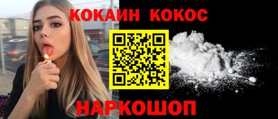 тгк Бийск
