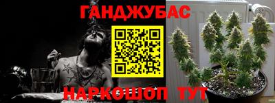 тгк Бийск