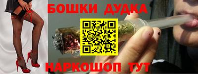 тгк Бийск