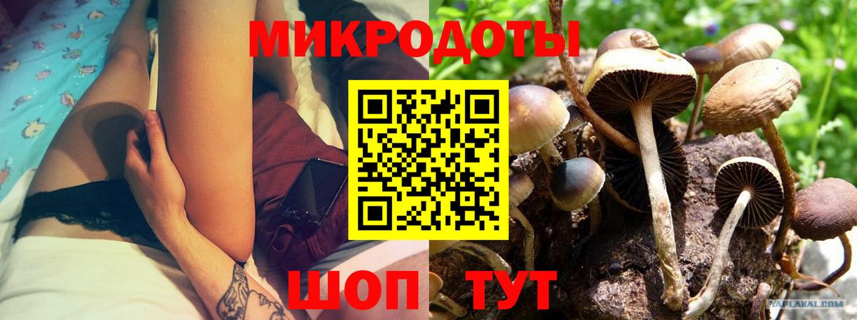 Псилоцибиновые грибы MAGIC MUSHROOMS  Вход с VPN  купить закладку  Каменск-Шахтинский 